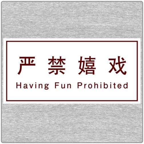 Having Fun Prohibited - T-shirt